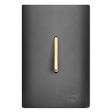 Conjunto Interruptor Simples Vertical 4x2 - Novara Grafite Gold